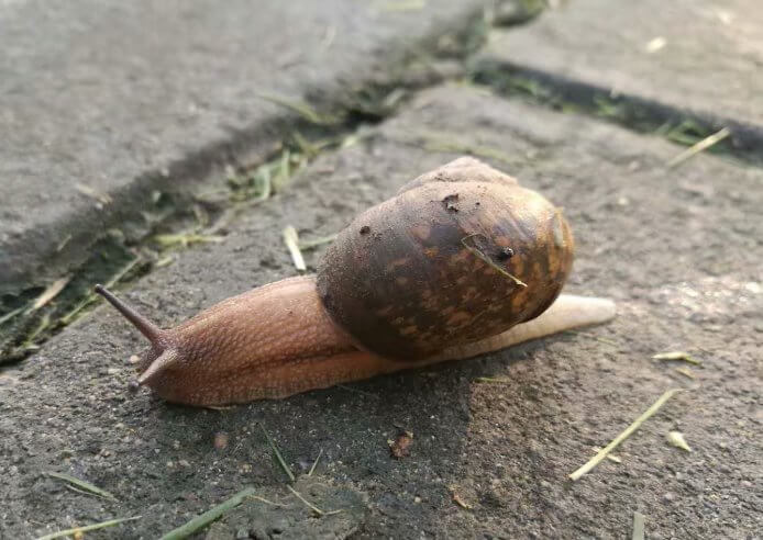 M(jn)ɳӵ۾һ(g)I˵ϣ